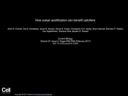 How ocean acidification can benefit calcifiers