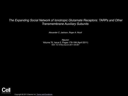 The Expanding Social Network of Ionotropic Glutamate Receptors: TARPs and Other Transmembrane Auxiliary Subunits  Alexander C. Jackson, Roger A. Nicoll 