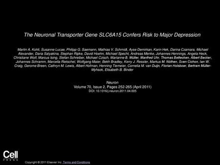 The Neuronal Transporter Gene SLC6A15 Confers Risk to Major Depression