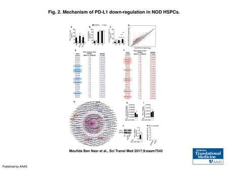 Fig. 2. Mechanism of PD-L1 down-regulation in NOD HSPCs.