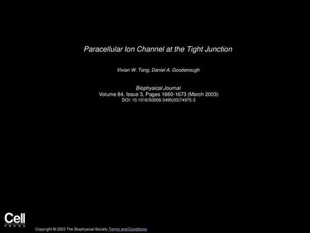 Paracellular Ion Channel at the Tight Junction