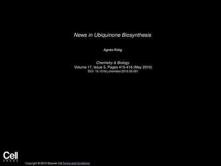 News in Ubiquinone Biosynthesis