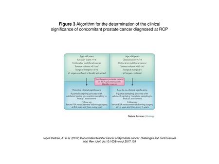 Figure 3 Algorithm for the determination of the clinical