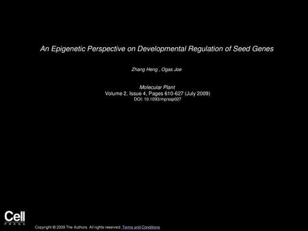 An Epigenetic Perspective on Developmental Regulation of Seed Genes