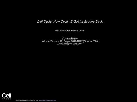 Cell Cycle: How Cyclin E Got Its Groove Back