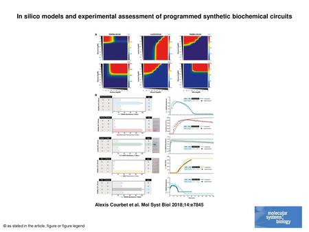 In silico models and experimental assessment of programmed synthetic biochemical circuits In silico models and experimental assessment of programmed synthetic.