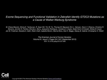 Exome Sequencing and Functional Validation in Zebrafish Identify GTDC2 Mutations as a Cause of Walker-Warburg Syndrome  M. Chiara Manzini, Dimira E. Tambunan,