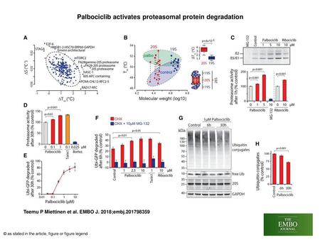 Palbociclib activates proteasomal protein degradation