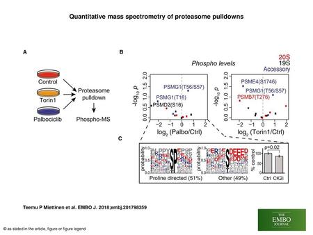 Quantitative mass spectrometry of proteasome pulldowns