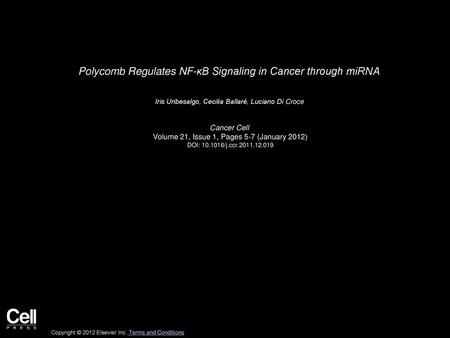 Polycomb Regulates NF-κB Signaling in Cancer through miRNA