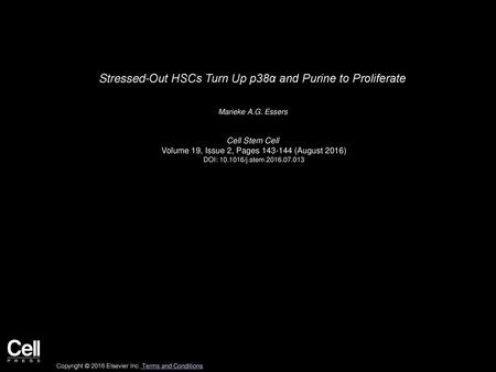 Stressed-Out HSCs Turn Up p38α and Purine to Proliferate