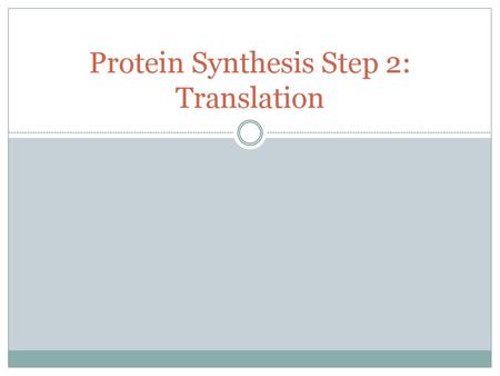 Protein Synthesis Step 2: Translation
