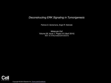 Deconstructing ERK Signaling in Tumorigenesis