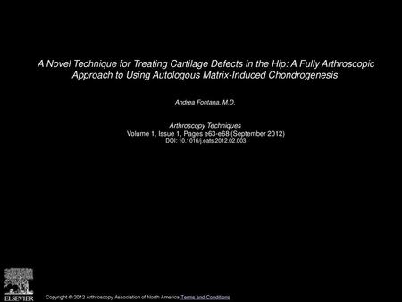 A Novel Technique for Treating Cartilage Defects in the Hip: A Fully Arthroscopic Approach to Using Autologous Matrix-Induced Chondrogenesis  Andrea Fontana,