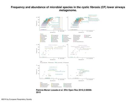 Frequency and abundance of microbial species in the cystic fibrosis (CF) lower airways metagenome. Frequency and abundance of microbial species in the.