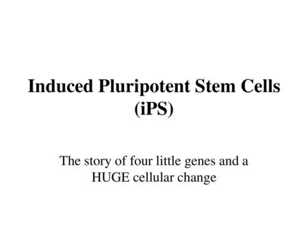 Induced Pluripotent Stem Cells (iPS)