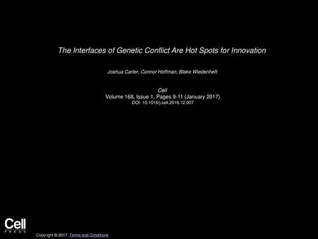 The Interfaces of Genetic Conflict Are Hot Spots for Innovation