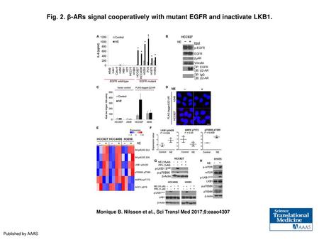 β-ARs signal cooperatively with mutant EGFR and inactivate LKB1