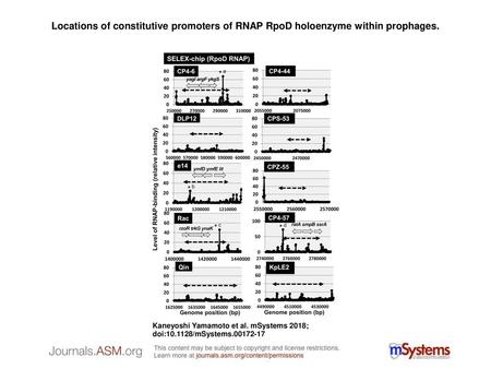 Locations of constitutive promoters of RNAP RpoD holoenzyme within prophages. Locations of constitutive promoters of RNAP RpoD holoenzyme within prophages.