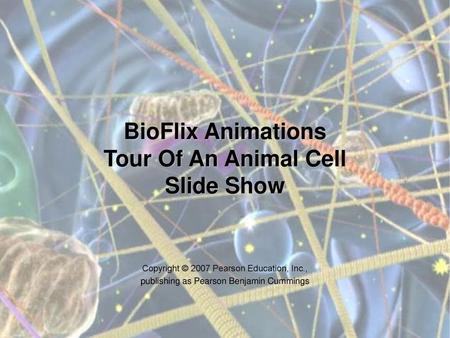 BioFlix Animations Tour Of An Animal Cell Slide Show