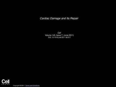Cardiac Damage and Its Repair