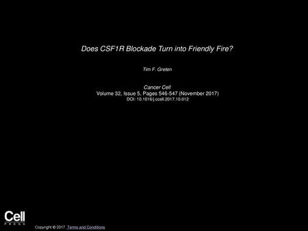 Does CSF1R Blockade Turn into Friendly Fire?