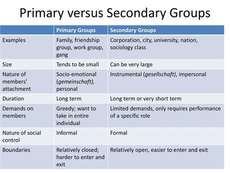 what is primary and secondary group