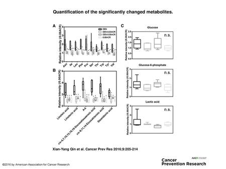 Quantification of the significantly changed metabolites.
