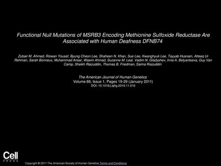 Functional Null Mutations of MSRB3 Encoding Methionine Sulfoxide Reductase Are Associated with Human Deafness DFNB74  Zubair M. Ahmed, Rizwan Yousaf,