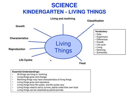 Living And Non Living Things Ppt Video Online Download