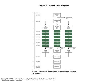 Figure 1 Patient flow diagram