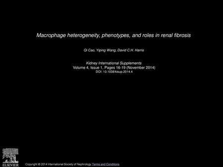 Macrophage heterogeneity, phenotypes, and roles in renal fibrosis