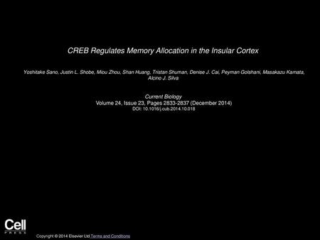 CREB Regulates Memory Allocation in the Insular Cortex