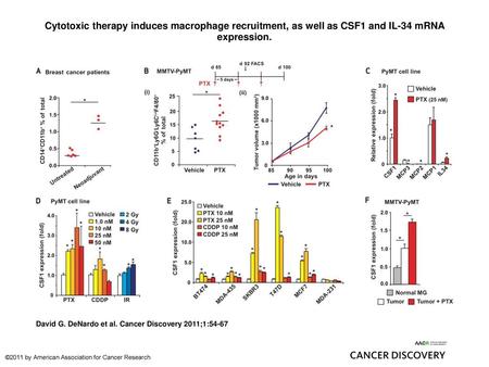 Cytotoxic therapy induces macrophage recruitment, as well as CSF1 and IL-34 mRNA expression. Cytotoxic therapy induces macrophage recruitment, as well.