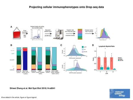 Projecting cellular immunophenotypes onto Drop‐seq data