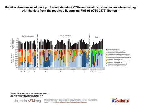 Relative abundances of the top 10 most abundant OTUs across all fish samples are shown along with the data from the probiotic B. pumilus RI06-95 (OTU 3673)
