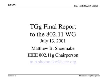 TGg Final Report to the WG July 13, 2001