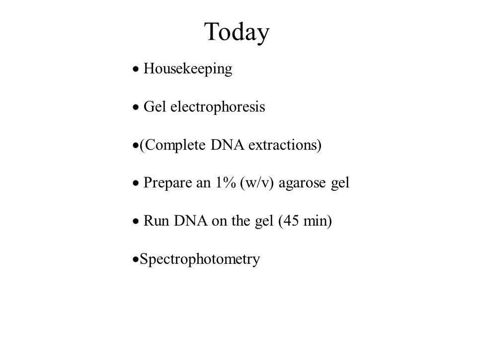 Today Housekeeping Gel Electrophoresis Complete Dna Extractions Prepare An 1 W V Agarose Gel Run Dna On The Gel 45 Min Spectrophotometry Ppt Download