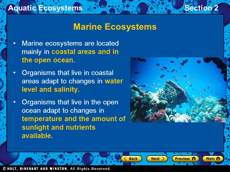 Marine Ecosystems Marine ecosystems are located mainly in coastal areas and  in the open ocean. Organisms that live in coastal areas adapt to changes  in. - ppt video online download