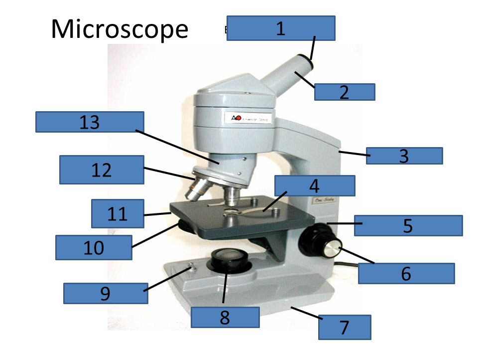 Microscope Eyepiece, ocular lens - ppt video online download