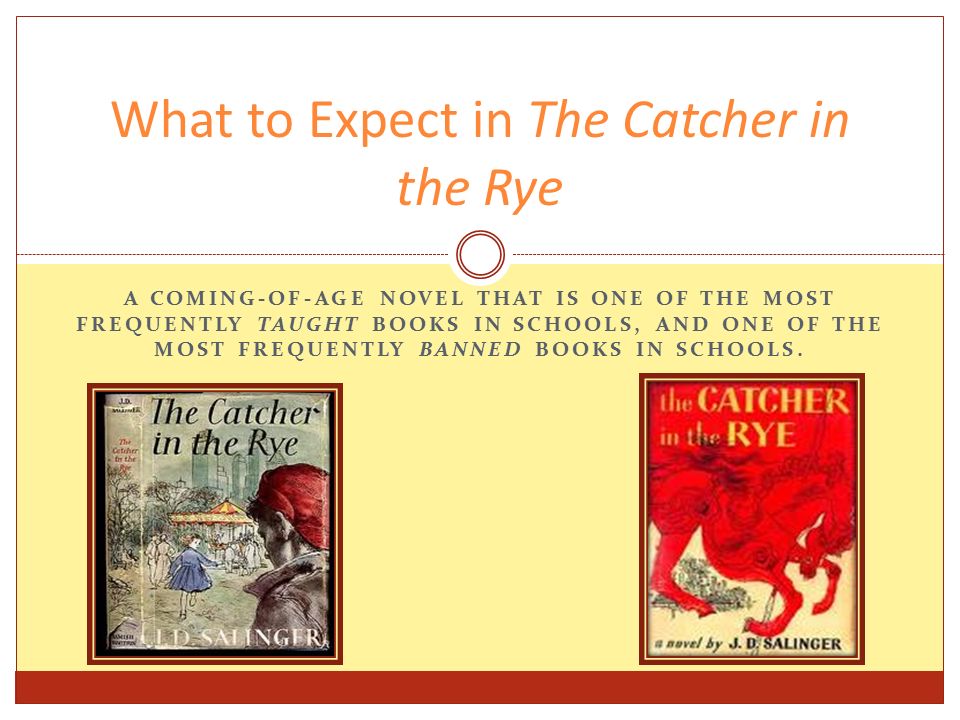 why was the catcher in the rye banned