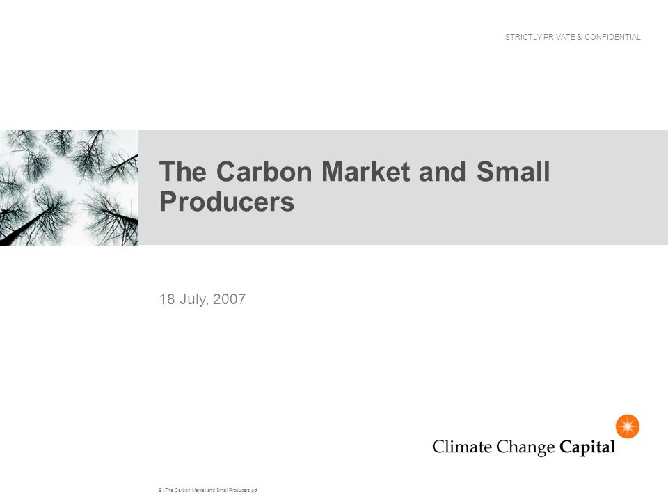 E The Carbon Market And Small Producers Ppt The Carbon Market And Small Producers 18 July 07 Strictly Private Confidential Ppt Download