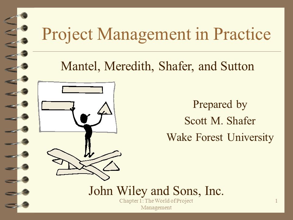 Project Management in Practice - ppt video online download