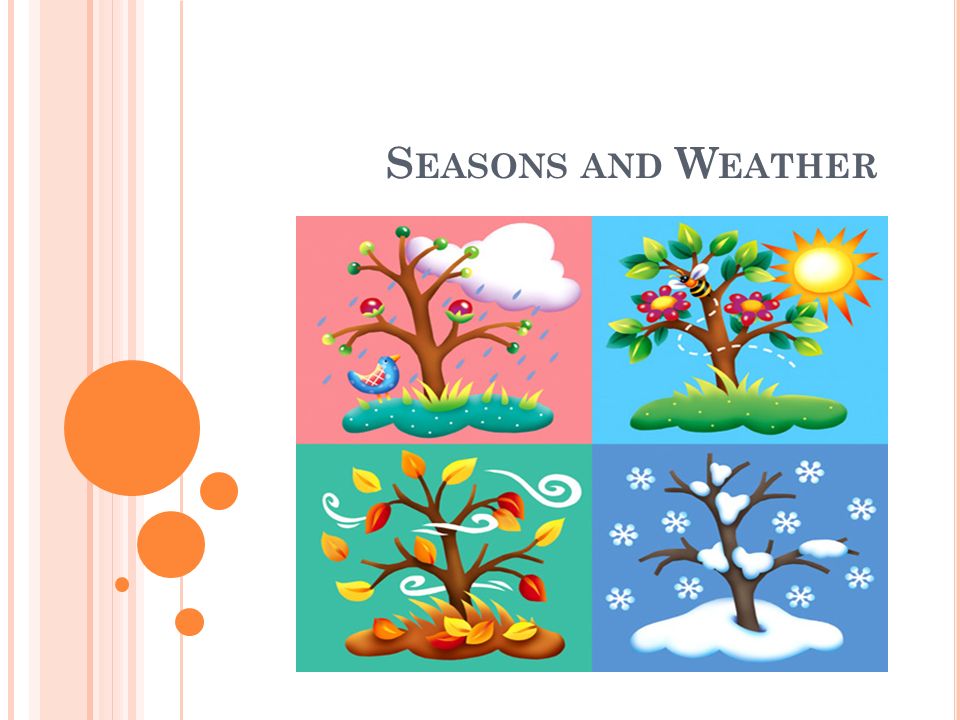 S EASONS AND W EATHER. There are four seasons in a year:  winter; winter;   spring; spring;  summer; summer;  autumn. autumn. - ppt download