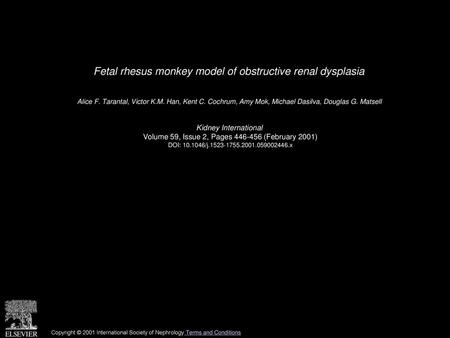 Fetal rhesus monkey model of obstructive renal dysplasia