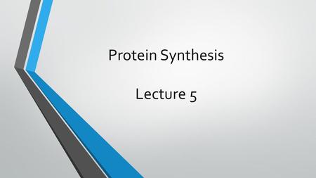Protein Synthesis Lecture 5