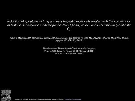 Induction of apoptosis of lung and esophageal cancer cells treated with the combination of histone deacetylase inhibitor (trichostatin A) and protein.