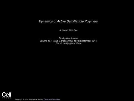 Dynamics of Active Semiflexible Polymers