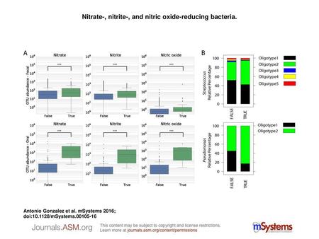 Nitrate-, nitrite-, and nitric oxide-reducing bacteria.