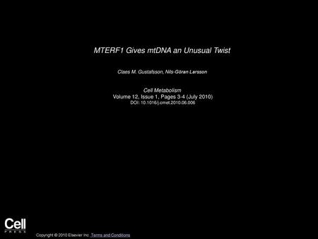 MTERF1 Gives mtDNA an Unusual Twist
